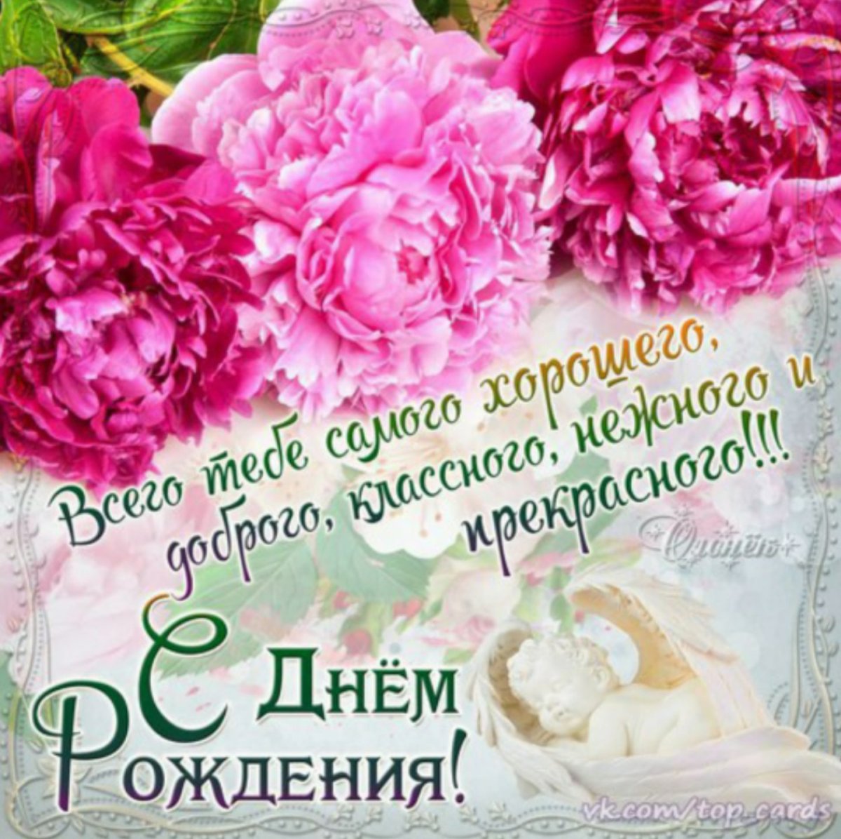 С днём рождения пионы с пожеланиями