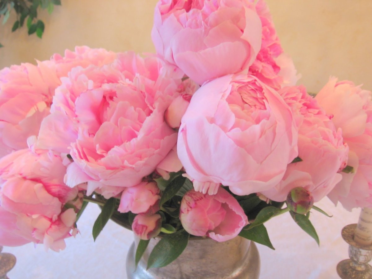 Пион Говард Уоткинс