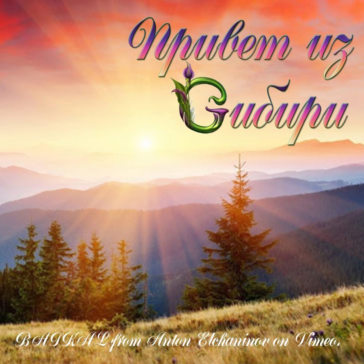 Доброе утро из Сибири