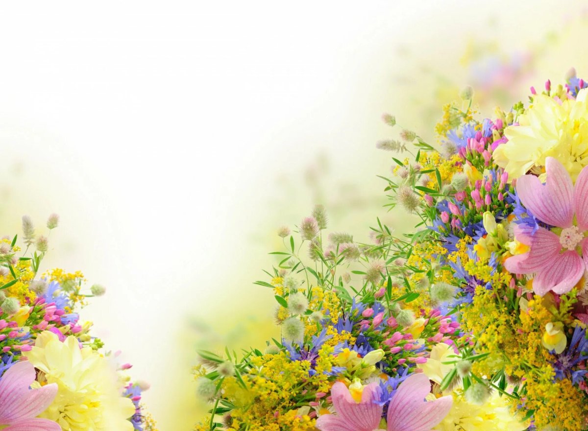 Красивый фон с цветами для текста