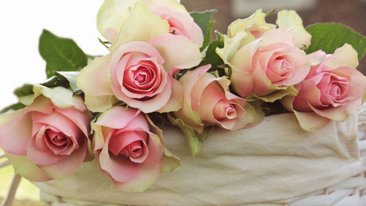 С днем рождения нежные розы