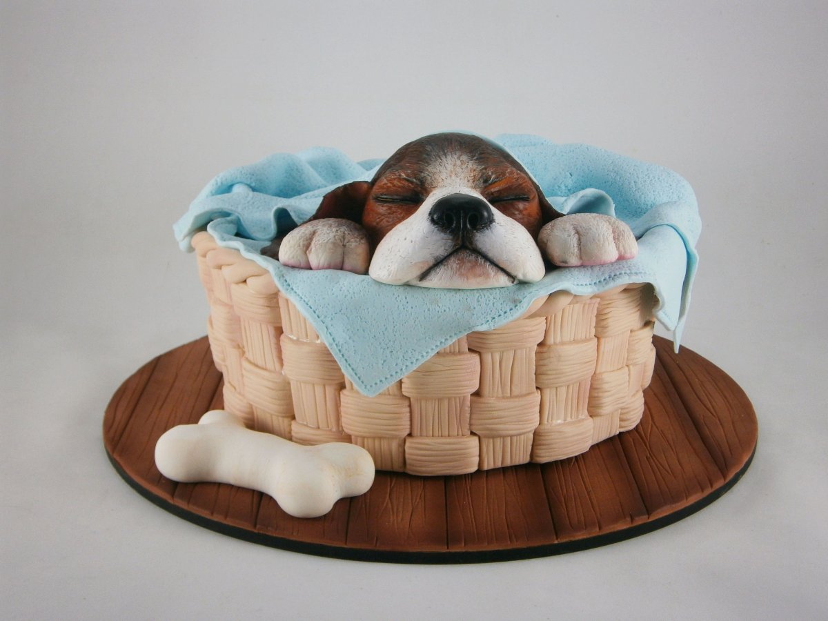 Торт собачка в корзинке