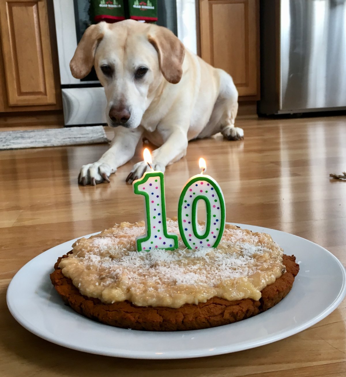 Doge Birthday