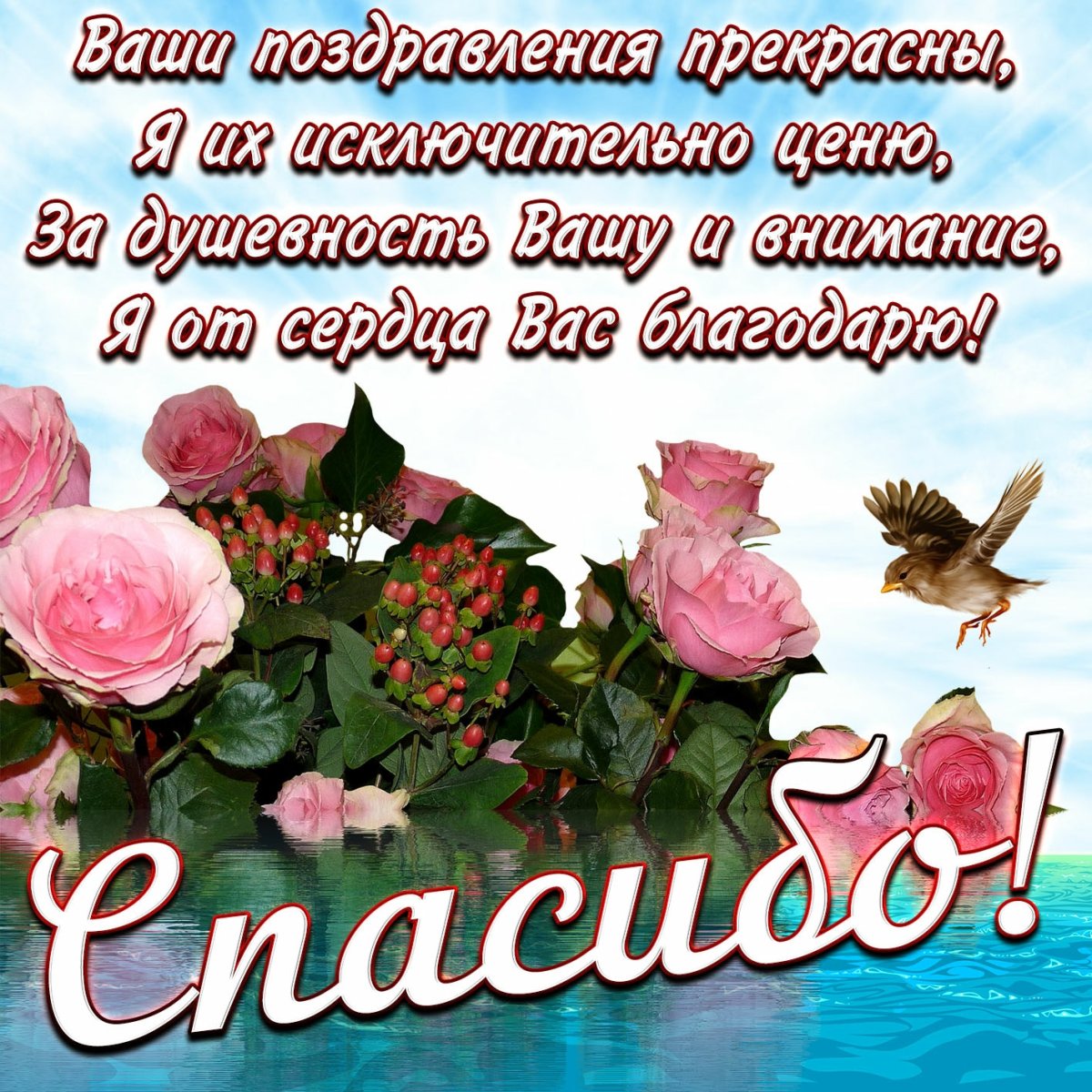 Поздравления с днём рождения подруге