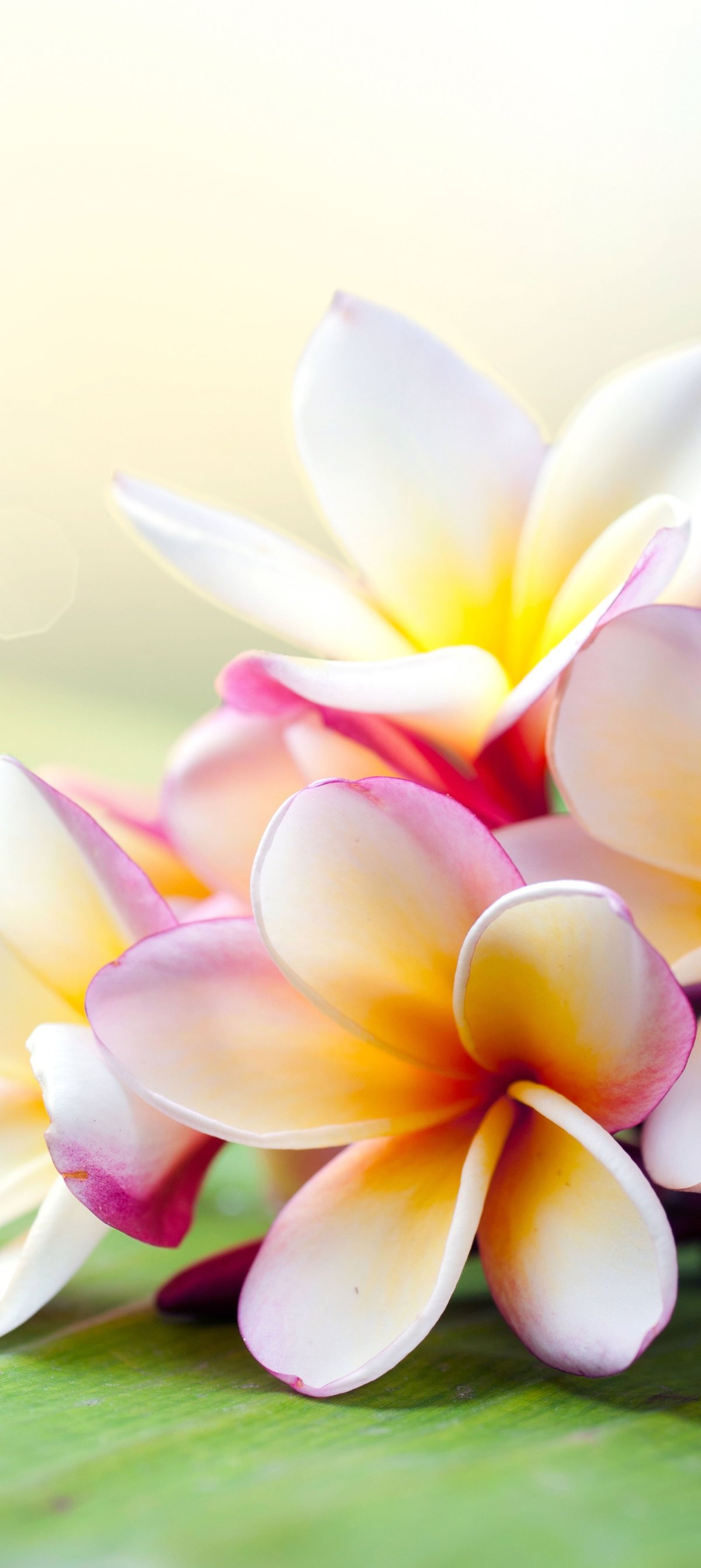 Христианское поздравление сестре