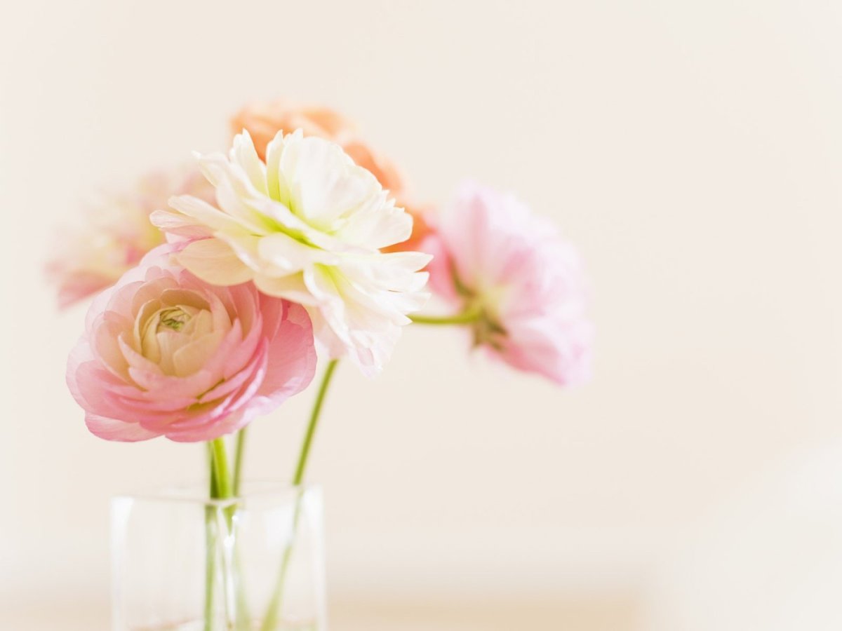 Пожелание благословения Божьего