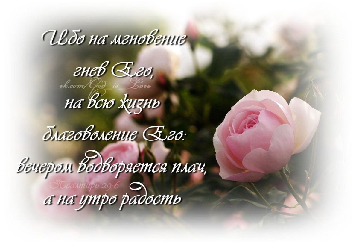 Благословение цветы