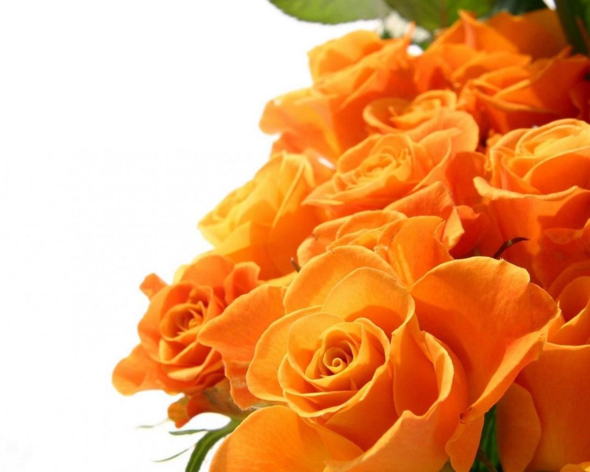 Открытки да благословит тебя Господь