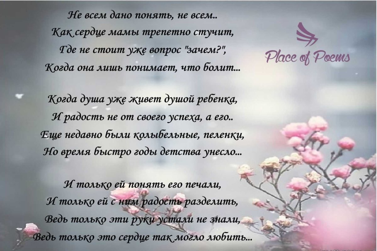 Трогательные стихи о мае