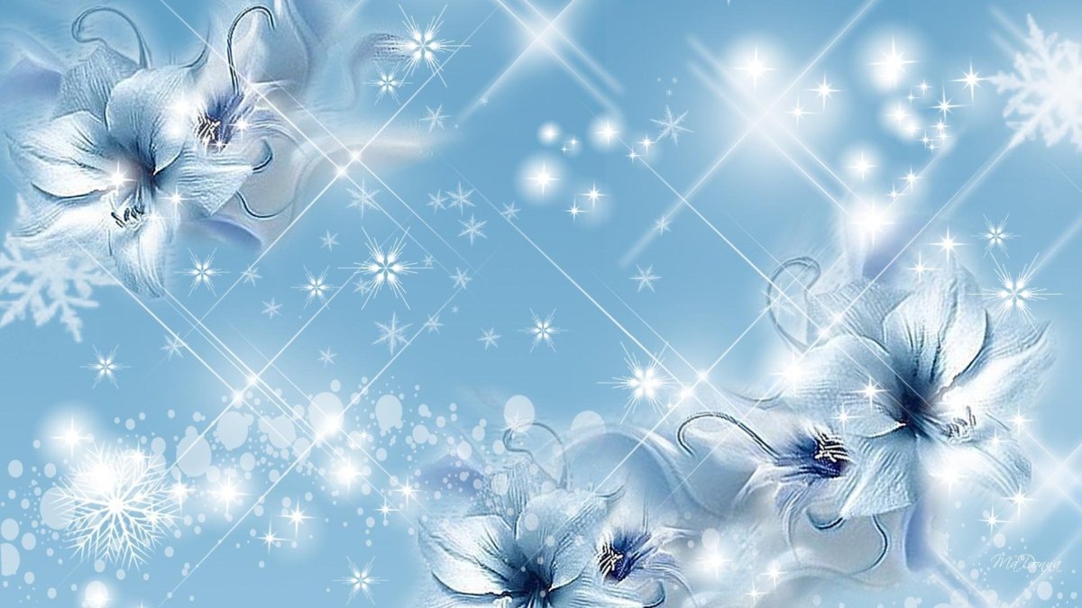 Зимние цветы фон