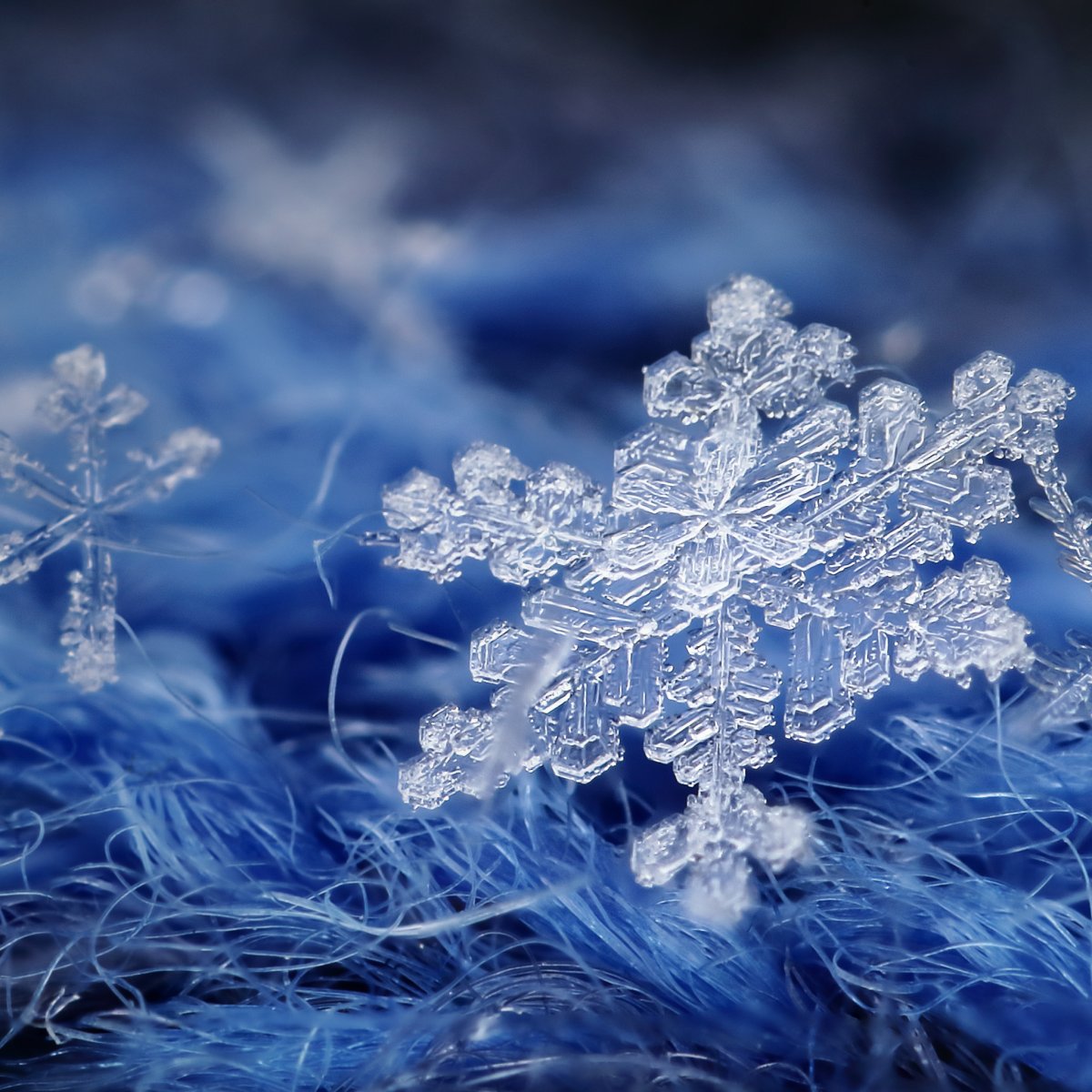 Снежинки зимой