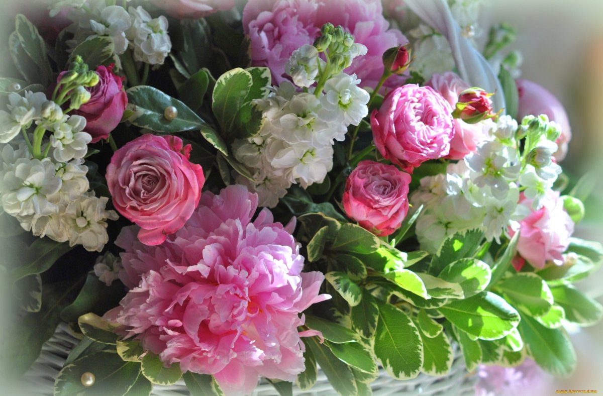 Нежный букет пионов