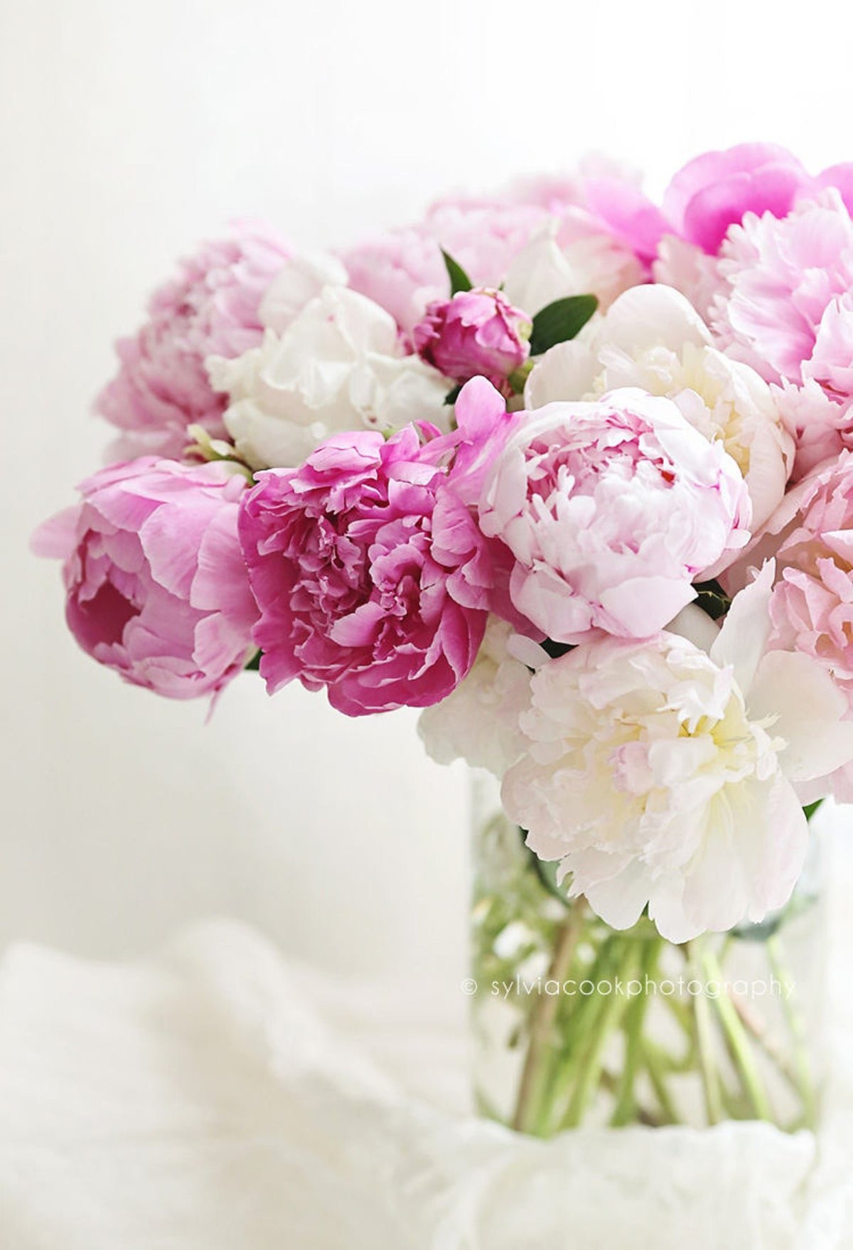 Красивый букет пионов