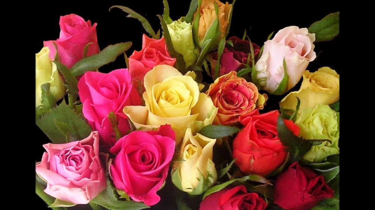 Красивый букет роз с днем рождения красивой женщине