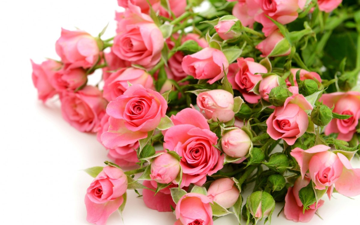 С днём рождения женщине