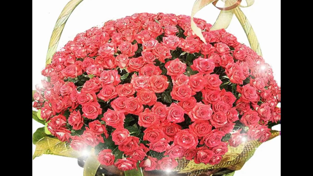 Красивый букет нежных роз