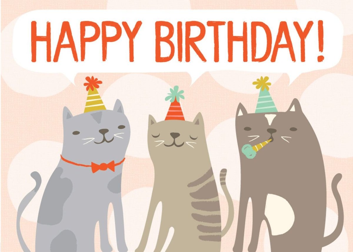 С днём рождения с котиками