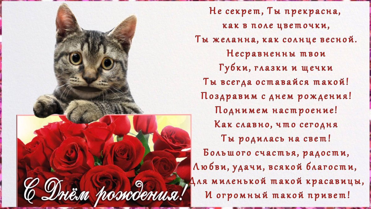 Поздравление с днём рождения от котика