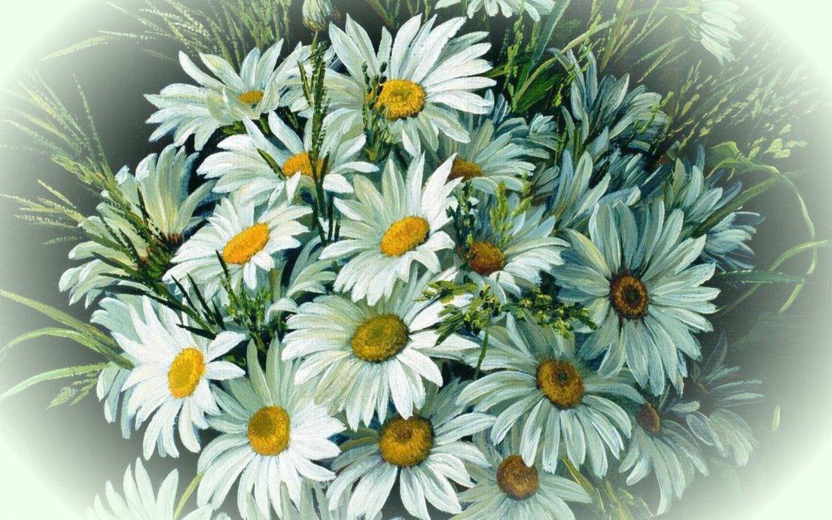 С днём рождения ромашки