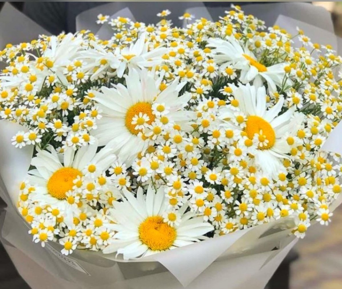 8 Июля день семьи