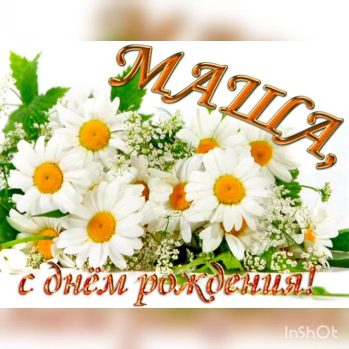 С 8 марта ромашки