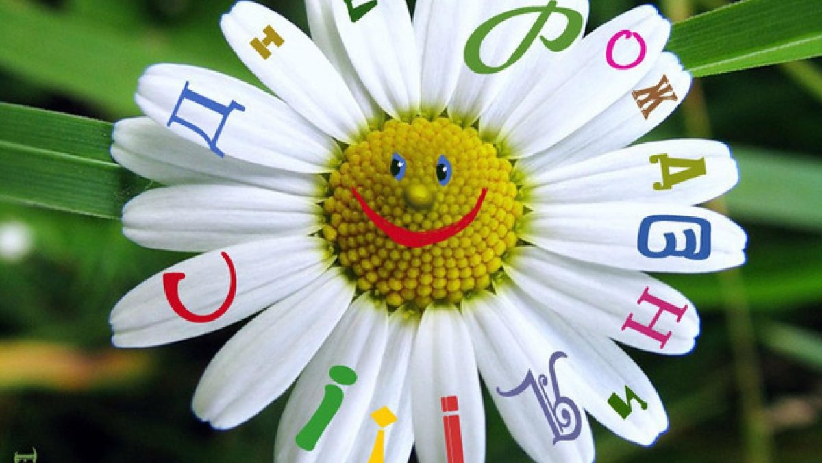 Утренний букет ромашек