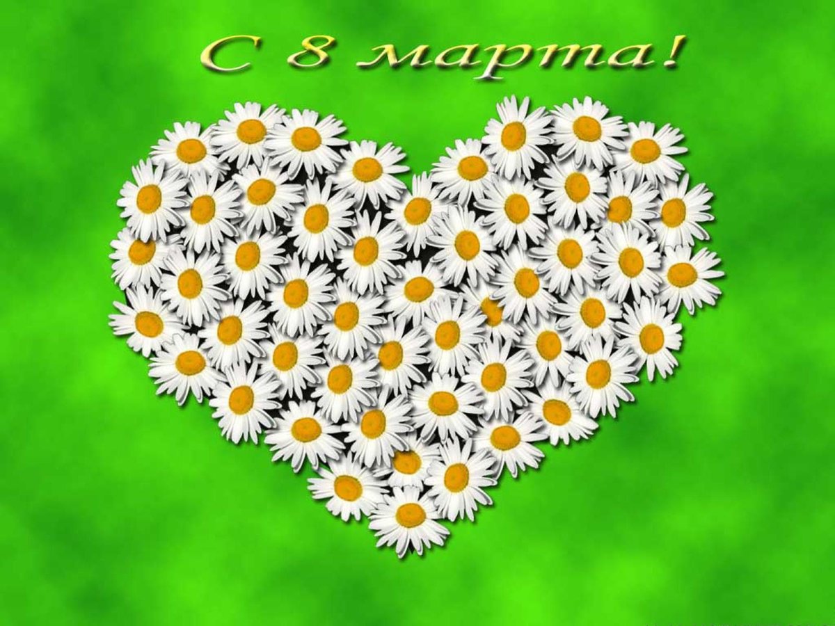 Поздравление с ромашками