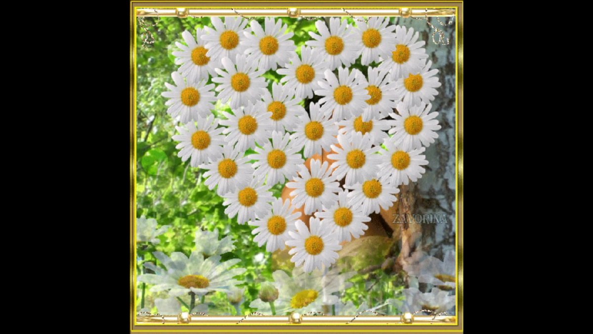 Натюрморт с ромашками