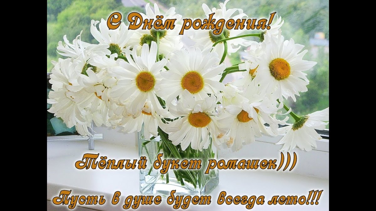 Большие ромашки