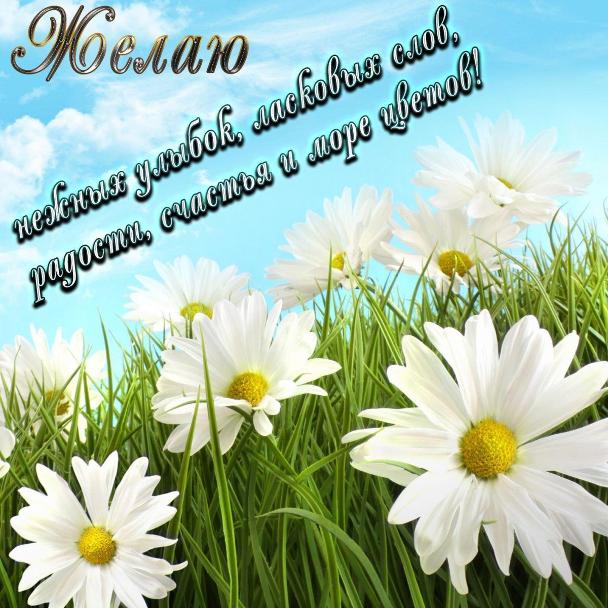 Поздравляем с днем рождения цветы