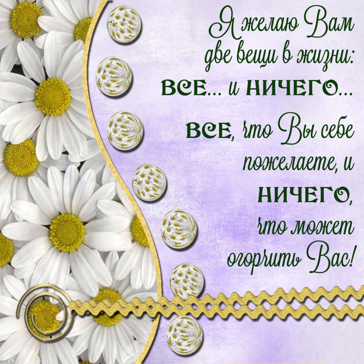 Букет ромашек для любимой