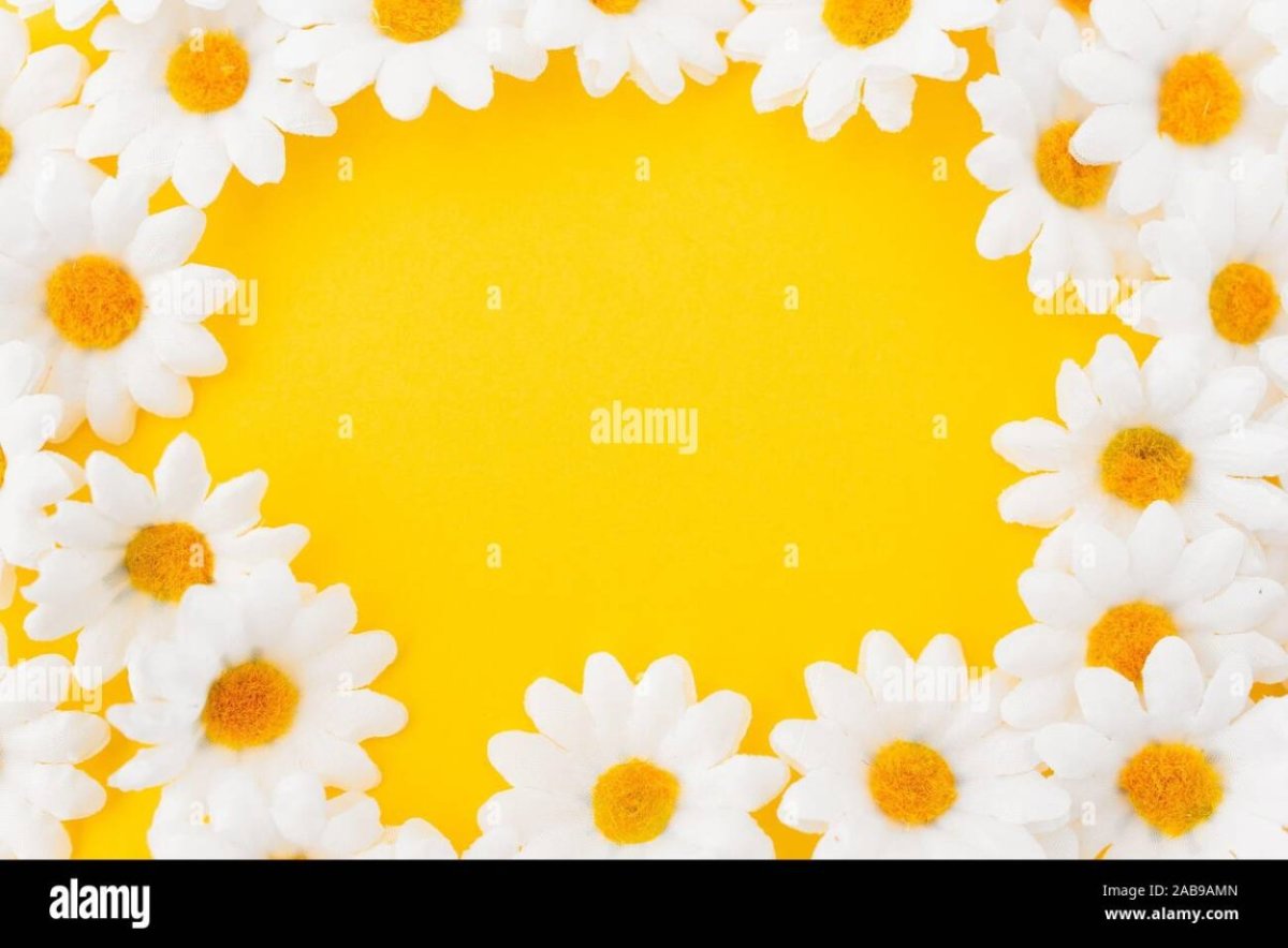 С днём рождения ромашки