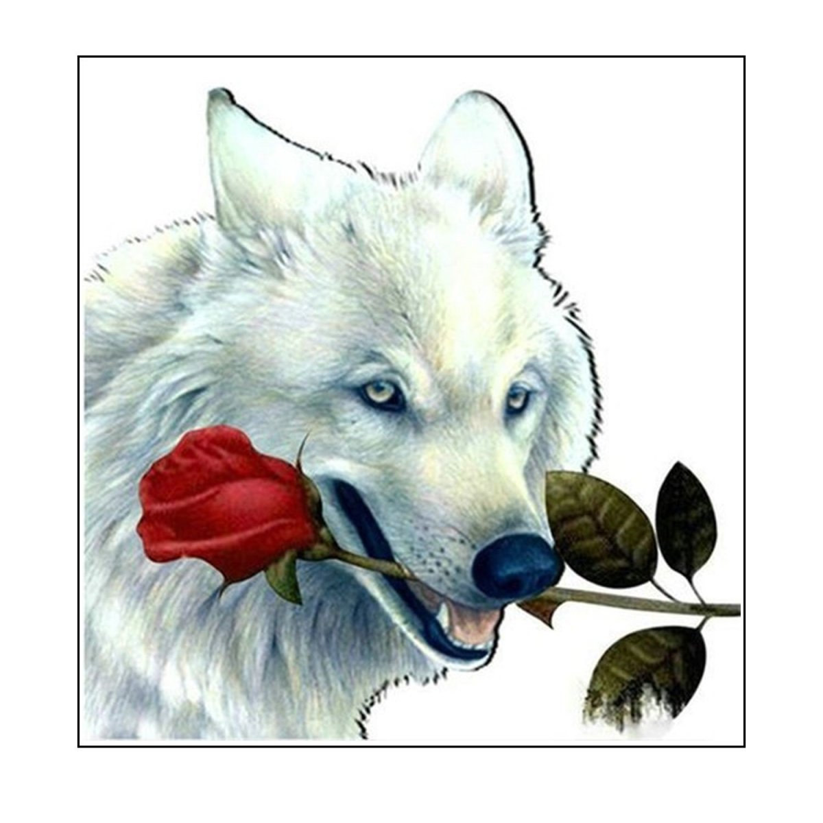 Белый волк с розой