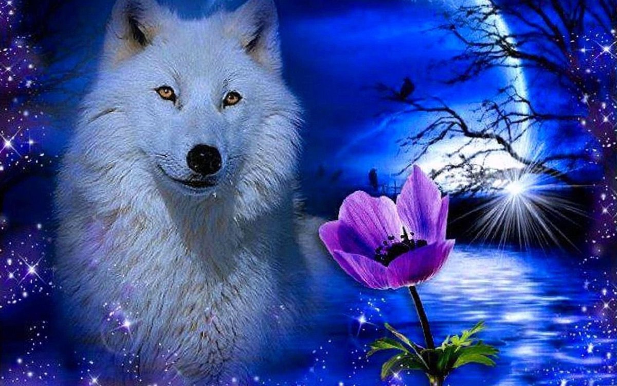 Открытки с волками