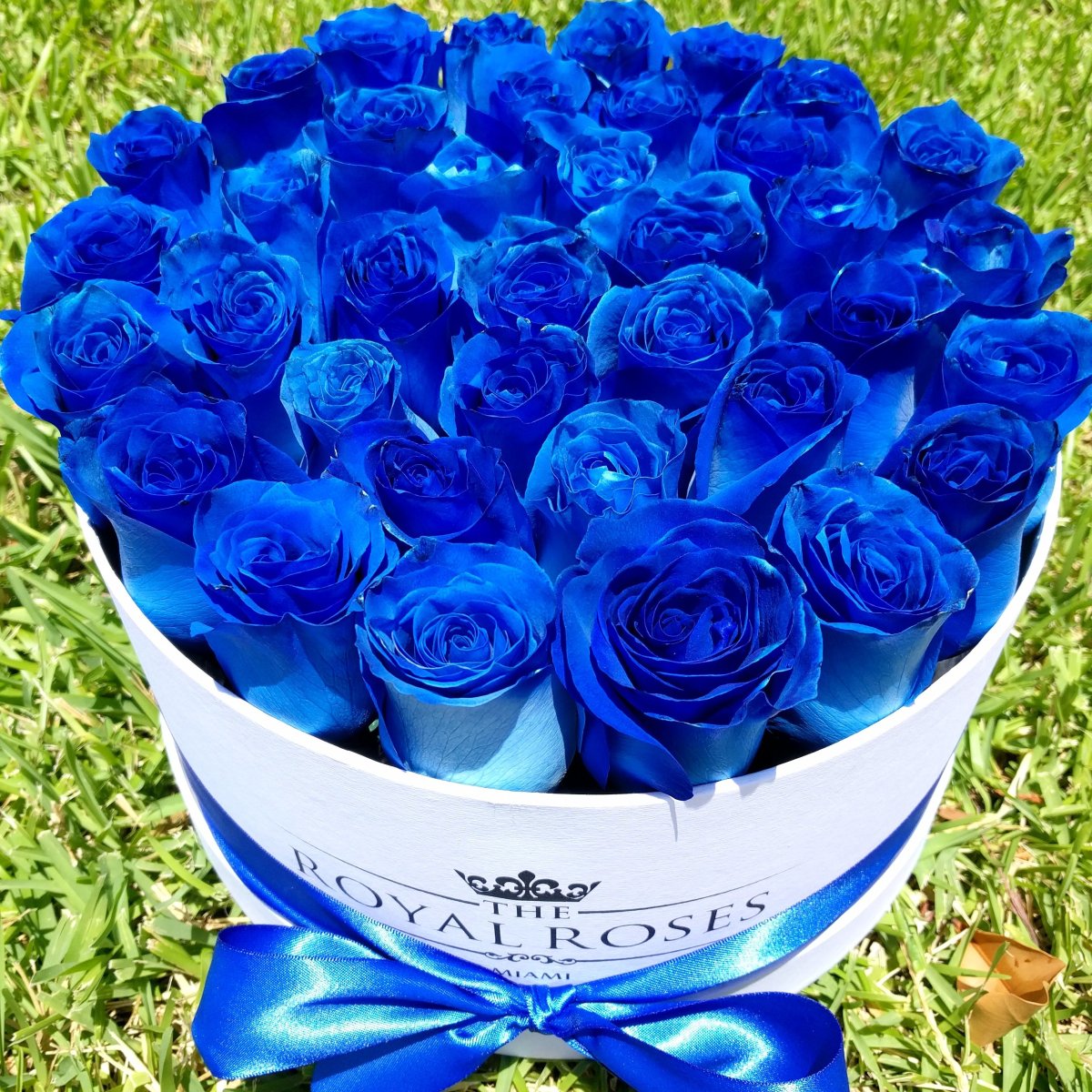 Синие розы с гипсофилой