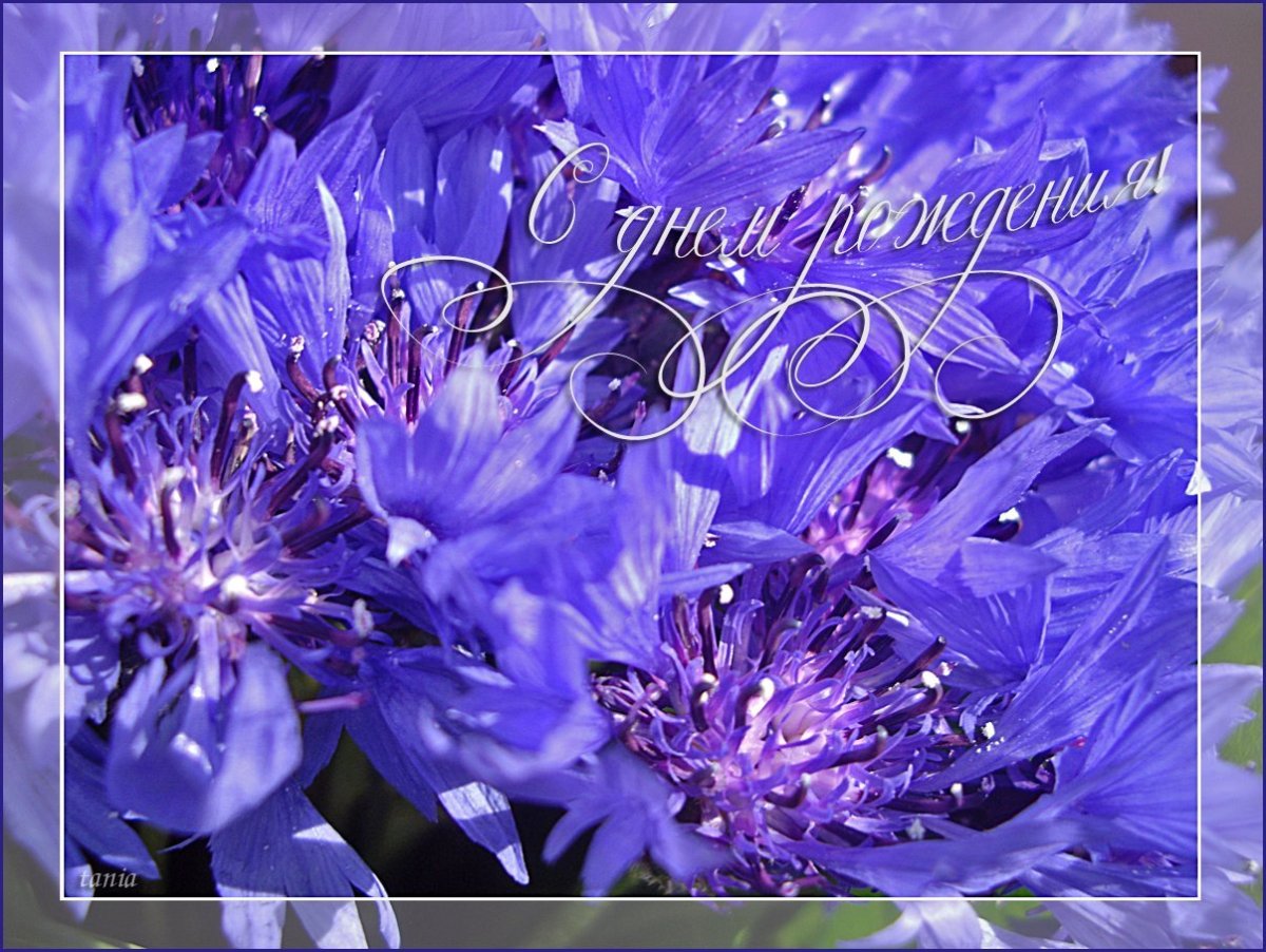 С днём рождения мужчине