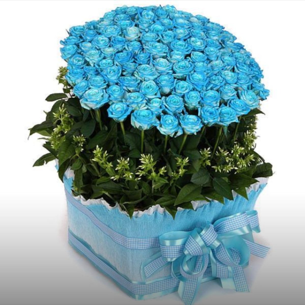 Голубые розы букет