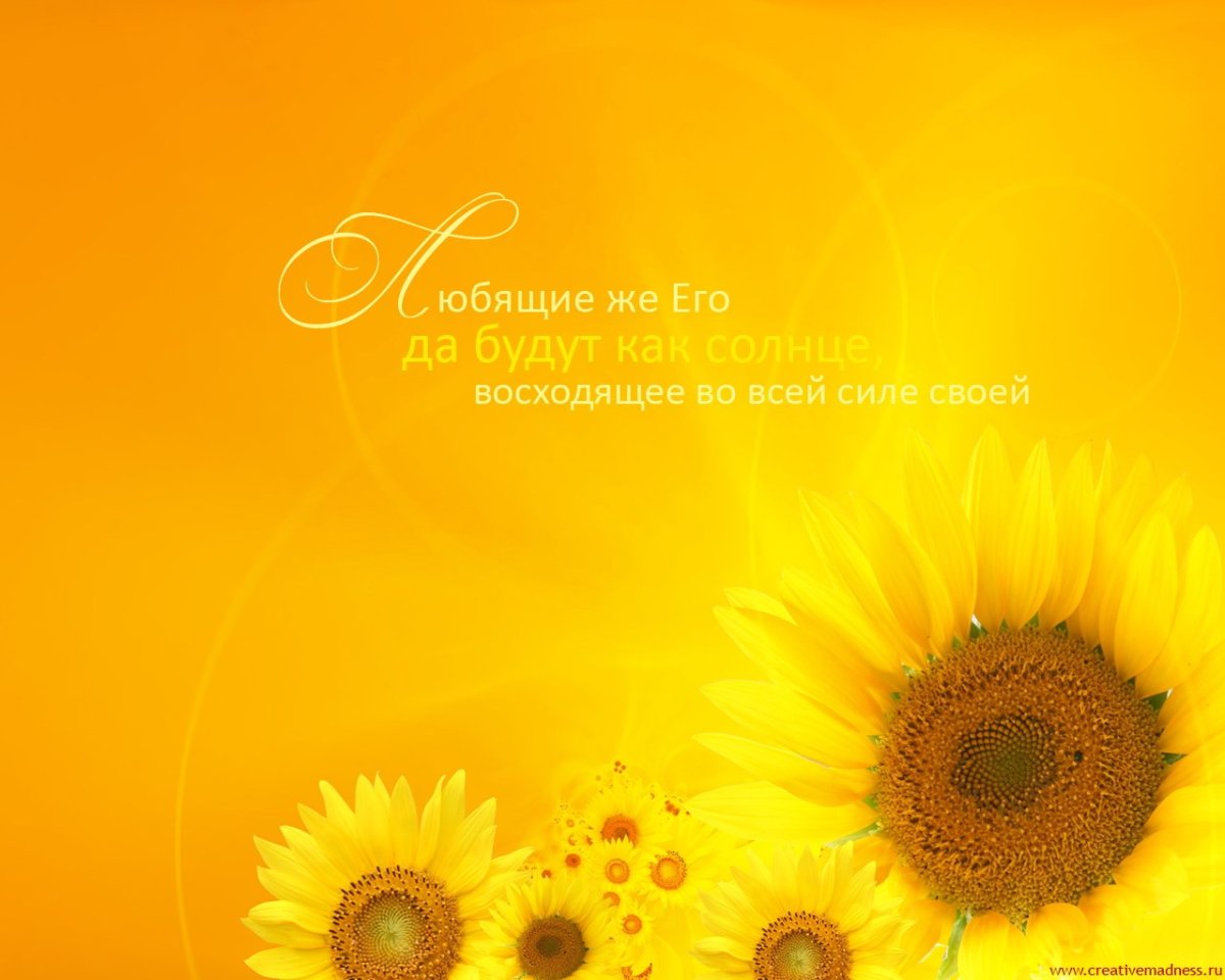 Солнечное поздравление с днем рождения