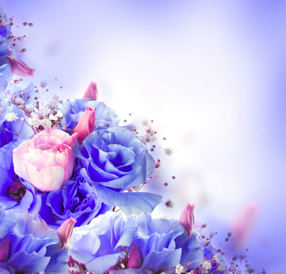 Красивый фон с цветами