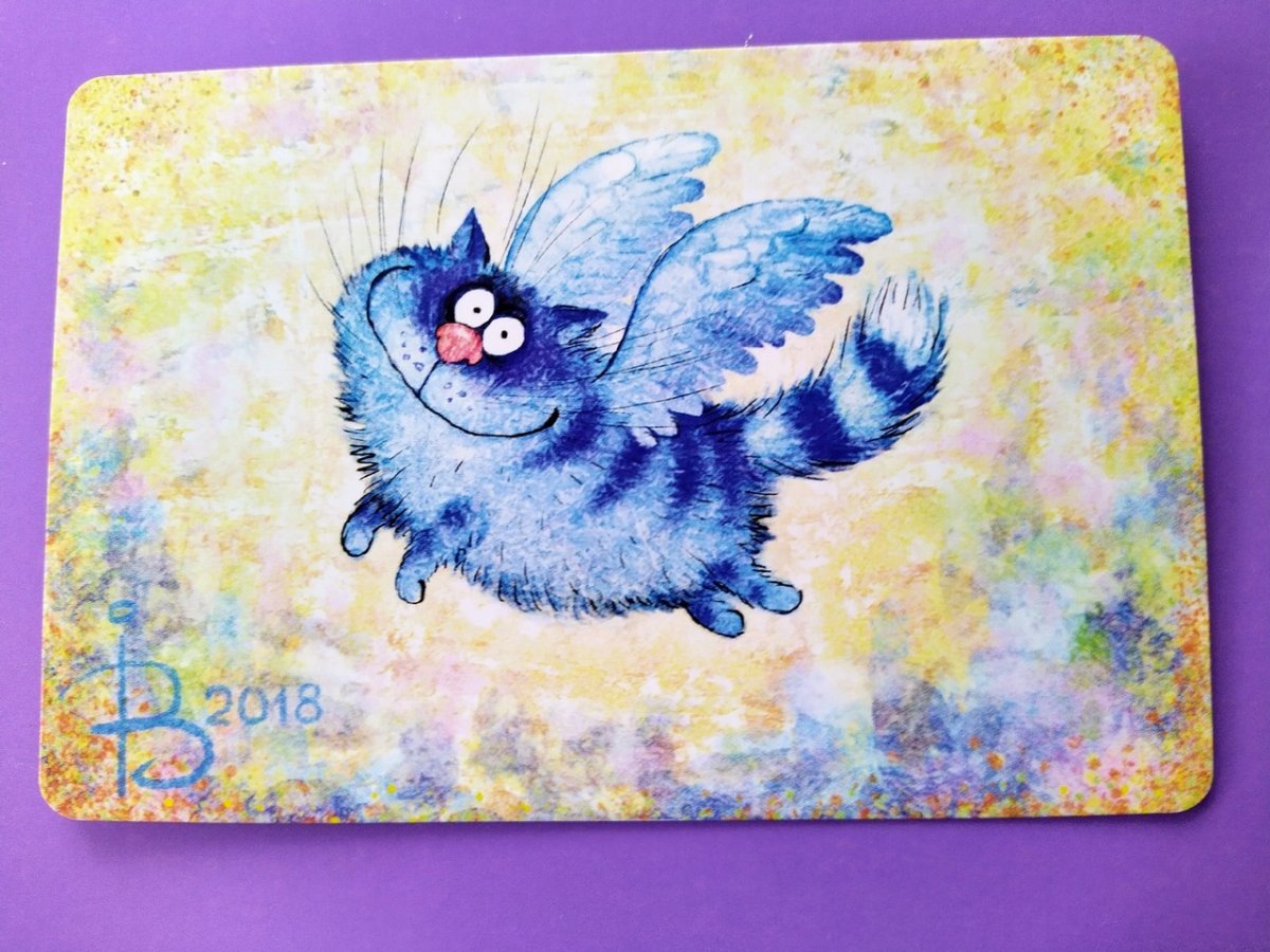 Синие коты художницы Ирины Зенюк