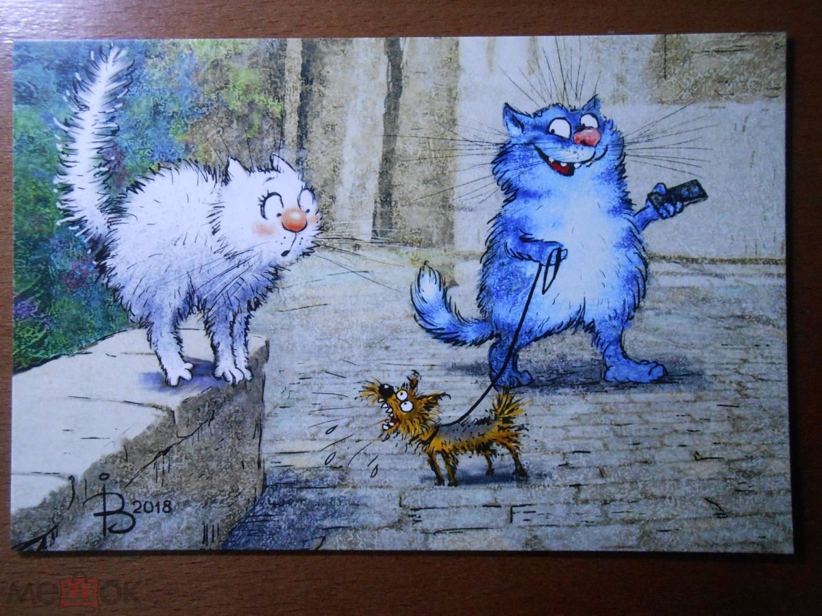 Синий кот картинки