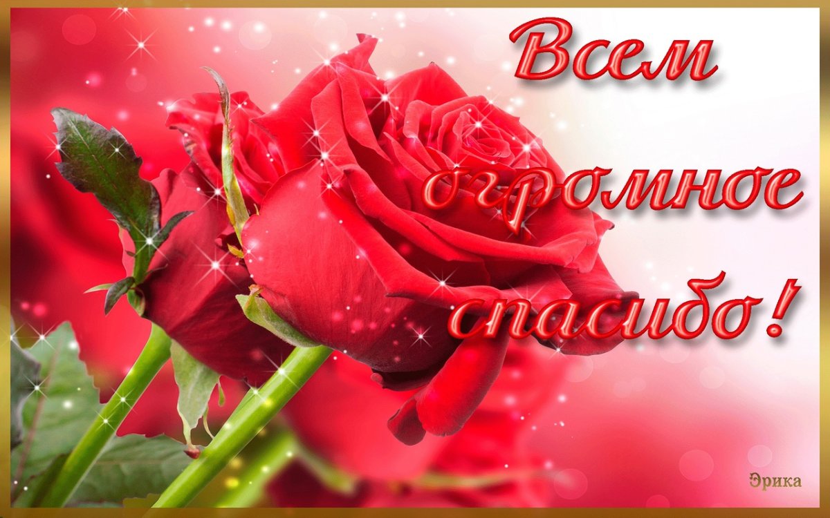 Всем большое спасибо за поздравления