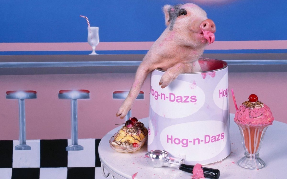 Забавные иллюстрации с днем рождения