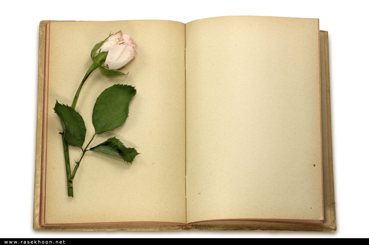 Поздравление дочери