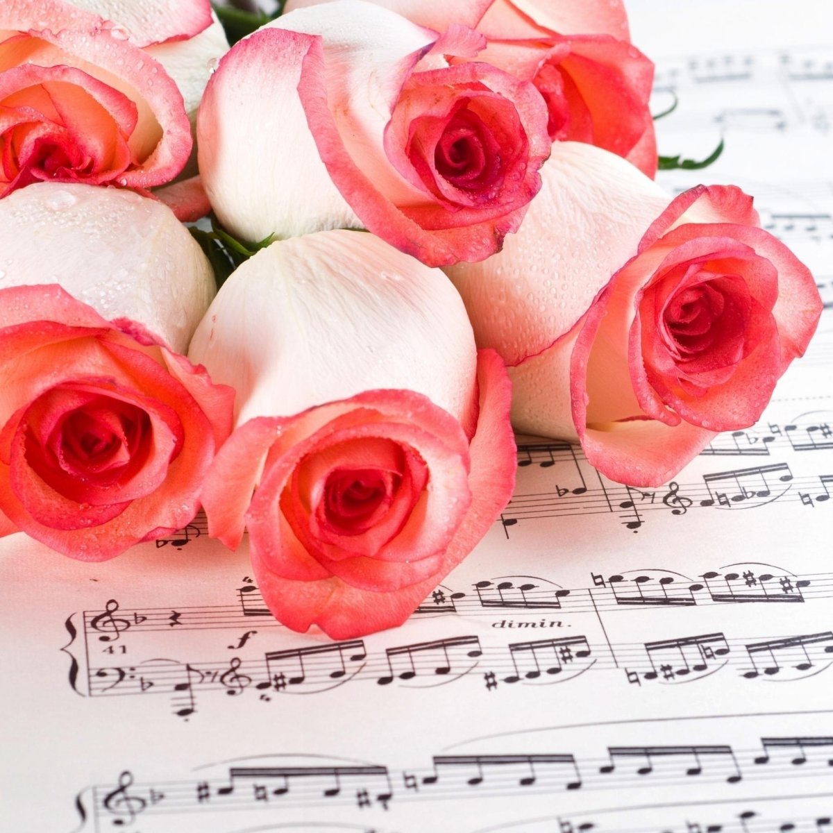 Открытка с днем рождения с нотками