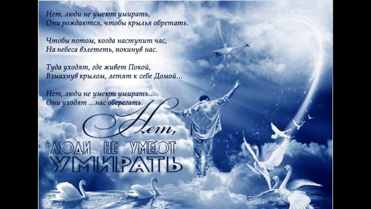 Голуби в цветах