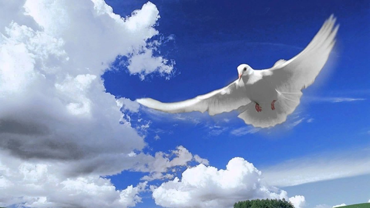 Свеча для земного дня рождения