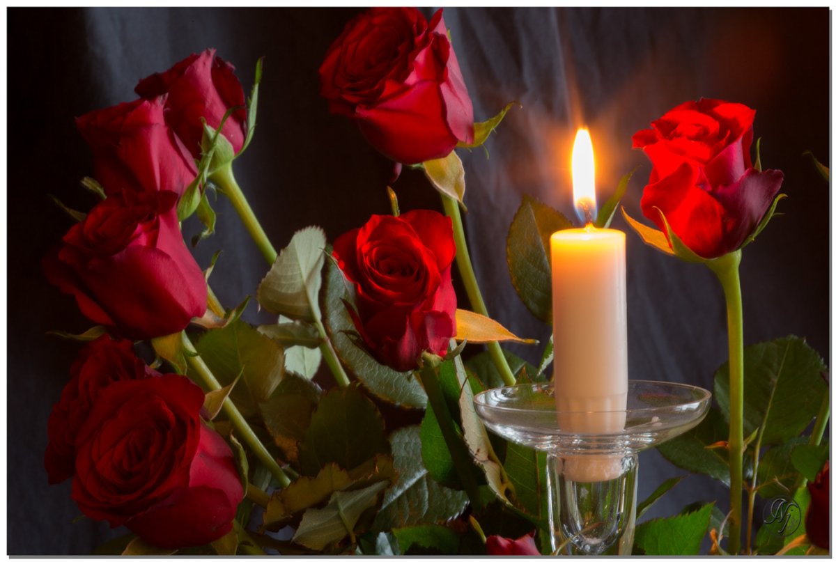 С земным днем рождения