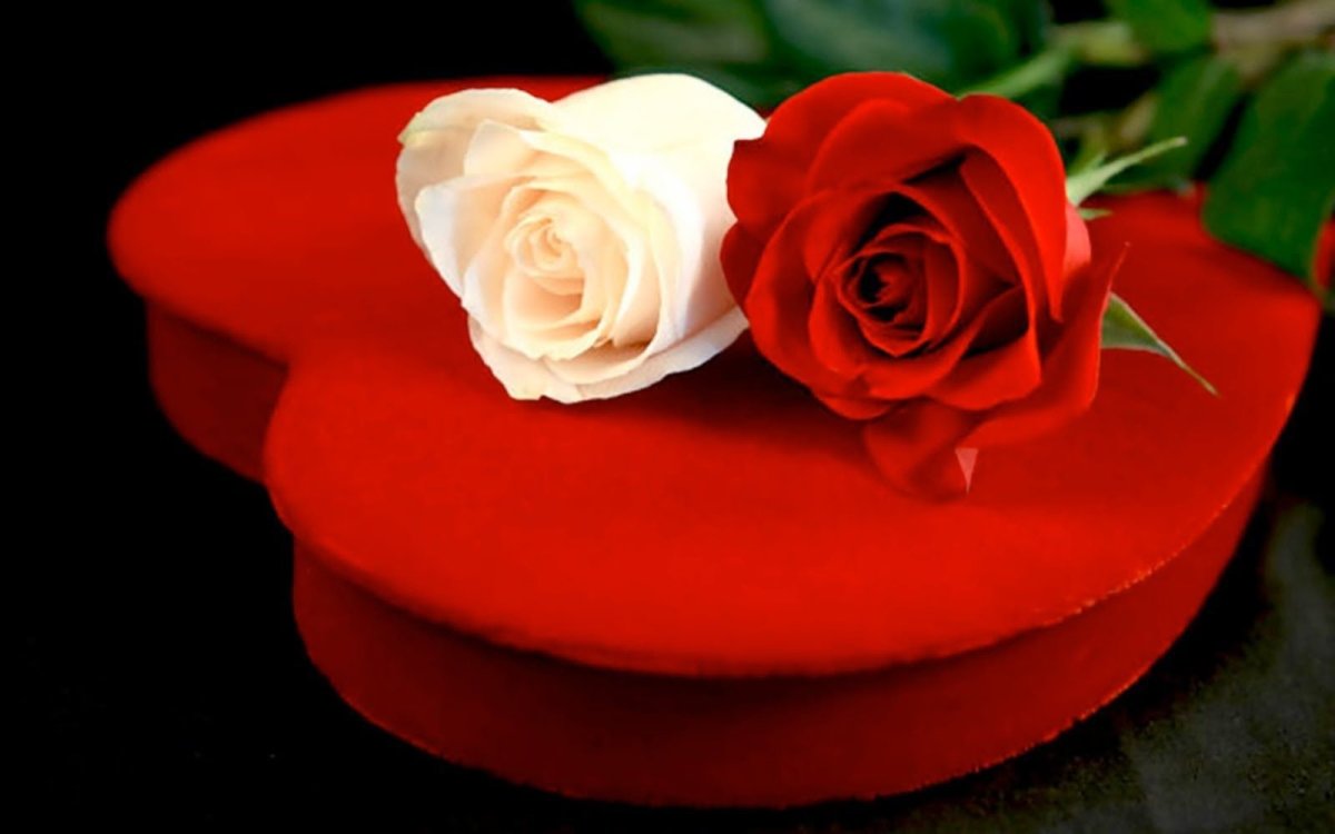 40 Дней папе стих от дочери