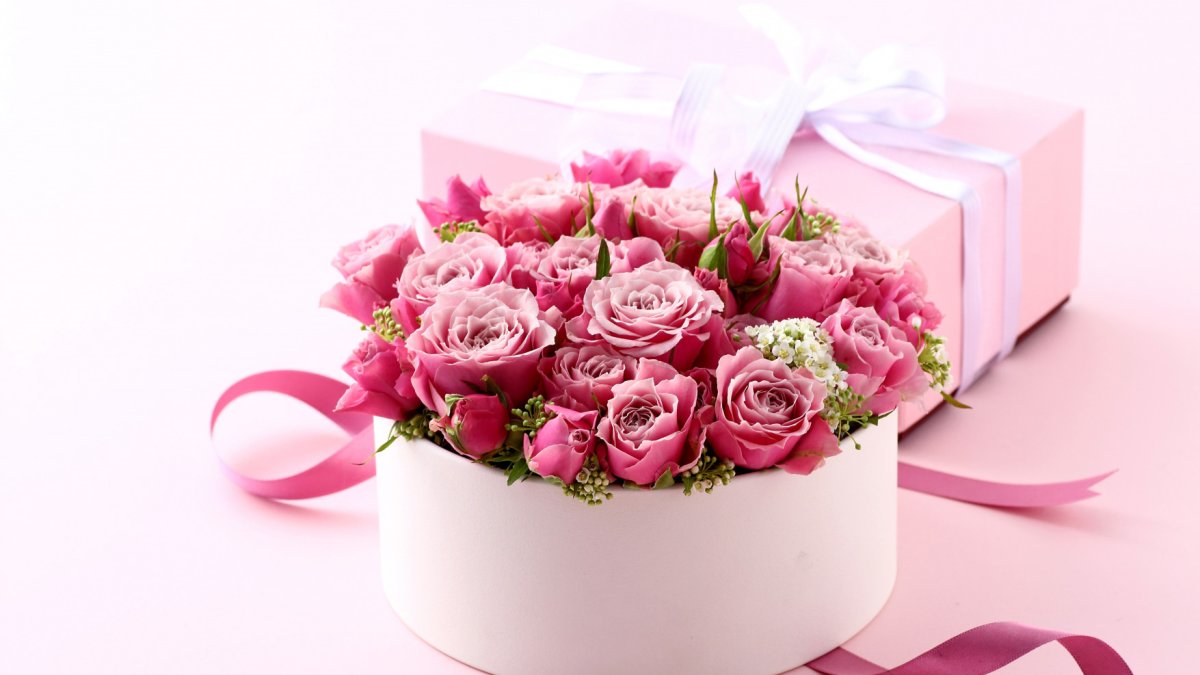 С днём рождения Алибина